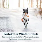 Apartmán Lotti *
